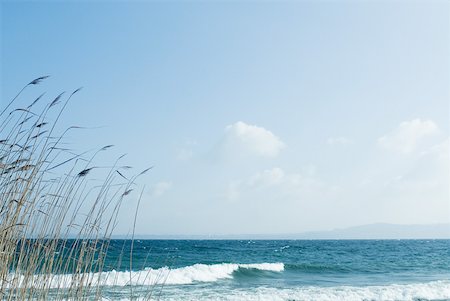 simsearch:633-02417681,k - Strand mit Gräser wachsen im Vordergrund Stockbilder - Premium RF Lizenzfrei, Bildnummer: 633-01573063