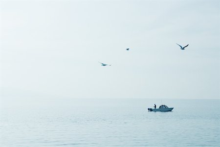 Seagulls flying over lake and fisherman in boat Stock Photo - Premium Royalty-Free, Code: 633-01573100