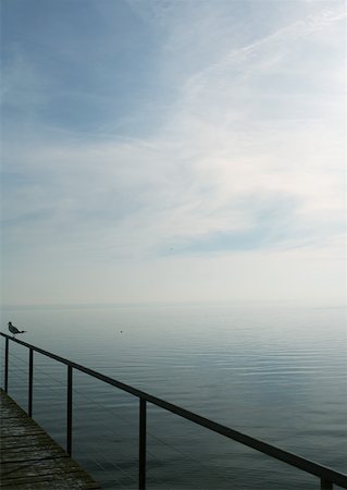 simsearch:632-02885055,k - Seagull perched on railing of pier overlooking lake Foto de stock - Sin royalties Premium, Código: 633-01573197