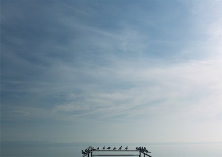 simsearch:632-05554100,k - Seagulls perched on railing of pier overlooking lake Foto de stock - Royalty Free Premium, Número: 633-01573199