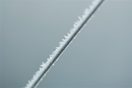 simsearch:633-01573339,k - Frost covered blade of grass Stock Photo - Premium Royalty-Free, Code: 633-01573319
