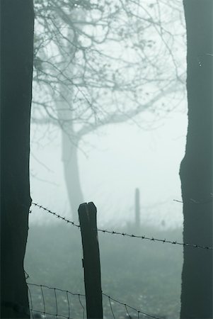 simsearch:633-01573326,k - Misty landscape with fence in foreground Fotografie stock - Premium Royalty-Free, Codice: 633-01573350