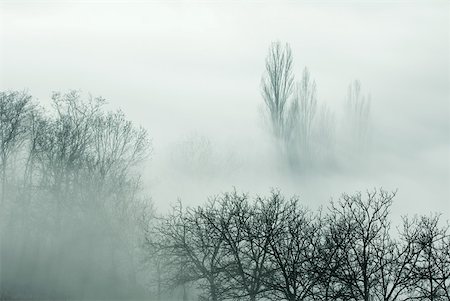 simsearch:700-00554020,k - Misty landscape Stock Photo - Premium Royalty-Free, Code: 633-01573362