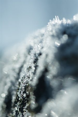 simsearch:633-01573339,k - Frost, extreme close-up Stock Photo - Premium Royalty-Free, Code: 633-01573377