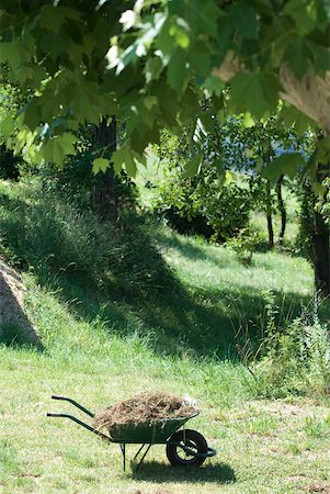 Wheelbarrow full of weeds Stock Photo - Premium Royalty-Free, Code: 633-01573389