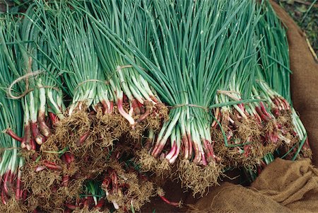 simsearch:633-01573517,k - Bunches of shallots Foto de stock - Sin royalties Premium, Código: 633-01573495