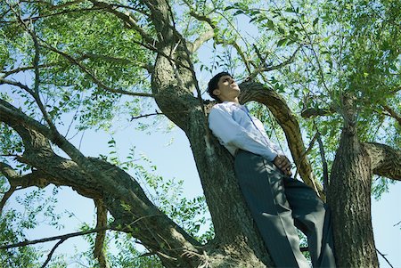 simsearch:633-01573622,k - Businessman in tree, low angle view Fotografie stock - Premium Royalty-Free, Codice: 633-01573615