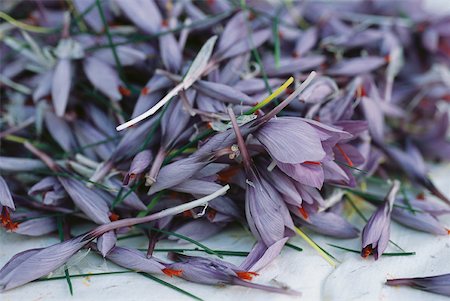 Fresh crocus flowers Foto de stock - Sin royalties Premium, Código: 633-01573652