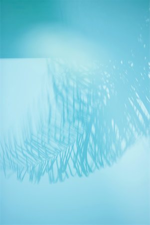 simsearch:633-02645339,k - Palm tree reflected in surface of water Stock Photo - Premium Royalty-Free, Code: 633-01573899