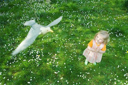 seagull looking down - Little girl watching fake bird hanging from string Stock Photo - Premium Royalty-Free, Code: 633-01714320