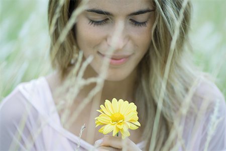 field of daisy - Woman holding flower, close-up Stock Photo - Premium Royalty-Free, Code: 633-01715426