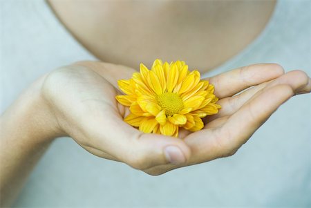 Woman holding flower in cupped hand, close-up Stock Photo - Premium Royalty-Free, Code: 633-01715445