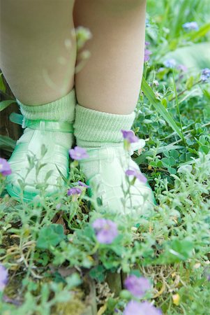 fat baby girl - Toddler girl standing on grass and wildflowers, low section Foto de stock - Sin royalties Premium, Código: 633-01715849