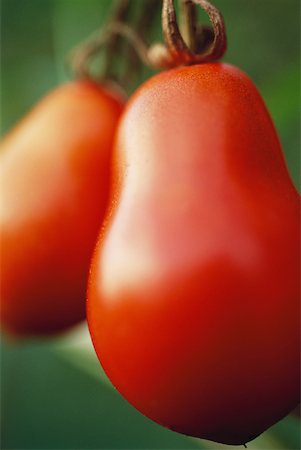 simsearch:633-01714004,k - Tomatoes, extreme close-up Foto de stock - Sin royalties Premium, Código: 633-01713991