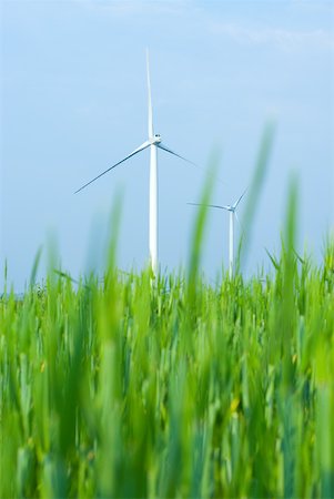 simsearch:633-06355008,k - Éoliennes en champ d'herbes hautes, vue d'angle faible Photographie de stock - Premium Libres de Droits, Code: 633-01837014