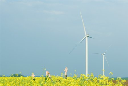 Two friends hiding in field of colza with arms raised, holding hands, wind turbines in background Stock Photo - Premium Royalty-Free, Code: 633-01837017