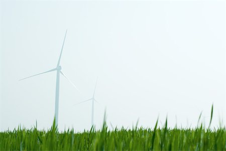 simsearch:633-06355008,k - Éoliennes en champ d'herbe Photographie de stock - Premium Libres de Droits, Code: 633-01837012