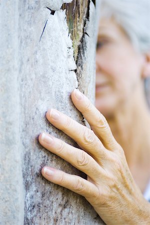 female tree huggers - Senior woman touching tree trunk, cropped view, close-up Stock Photo - Premium Royalty-Free, Code: 633-01837230