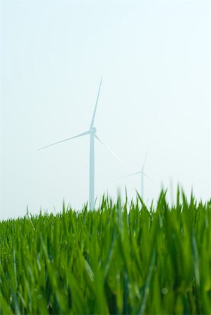 simsearch:633-02417952,k - Éoliennes en champ d'herbe, vue d'angle faible Photographie de stock - Premium Libres de Droits, Code: 633-01992419