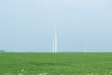 simsearch:633-06355008,k - Éoliennes en champ d'herbe Photographie de stock - Premium Libres de Droits, Code: 633-01992420
