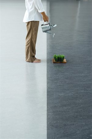 Man watering tray of wheatgrass Foto de stock - Sin royalties Premium, Código: 633-01992538