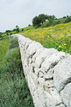 simsearch:633-05401596,k - Low stone wall in Mediterranean landscape Stock Photo - Premium Royalty-Free, Code: 633-01992561