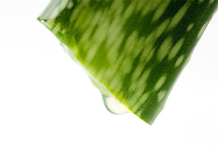 Tranche d'aloe vera dégoulinant, très gros plan Photographie de stock - Premium Libres de Droits, Code: 633-01992659