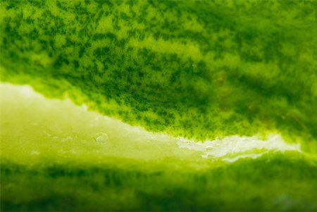 Aloe vera, macro shot Foto de stock - Sin royalties Premium, Código: 633-01992709