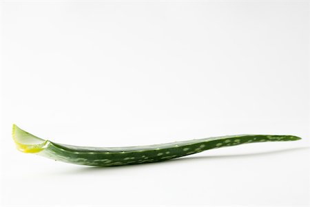 skincare leaf - Aloe vera leaf, close-up Stock Photo - Premium Royalty-Free, Code: 633-01992871