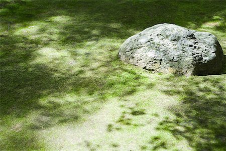 simsearch:633-02345741,k - Leaf shadows on grass and rock Stock Photo - Premium Royalty-Free, Code: 633-02044244