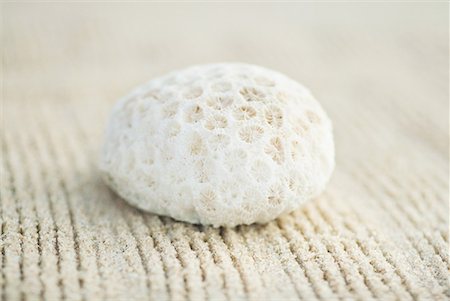 Coral on raked sand, close-up Foto de stock - Sin royalties Premium, Código: 633-02044521