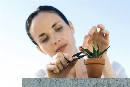 Woman pruning potted plant Stock Photo - Premium Royalty-Free, Code: 633-02065785