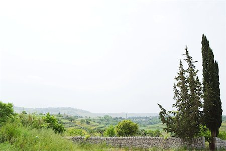 Mediterranean landscape with stone wall and cedar trees Foto de stock - Royalty Free Premium, Número: 633-02065978