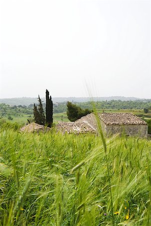 picture of house with high grass - Mediterranean landscape with house Stock Photo - Premium Royalty-Free, Code: 633-02065979