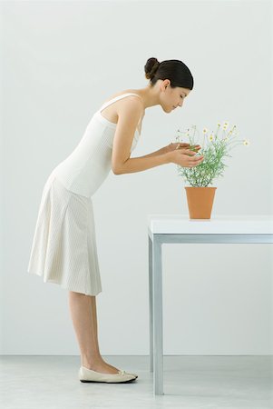 Woman smelling potted chamomile plant, eyes closed, side view Foto de stock - Sin royalties Premium, Código: 633-02128599