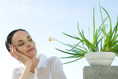 succulent flowers - Woman contemplating plant Stock Photo - Premium Royalty-Free, Code: 633-02128707