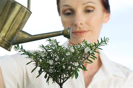 Mature woman watering plant Stock Photo - Premium Royalty-Free, Code: 633-02128725