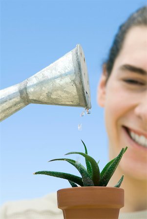 Man watering plant Stock Photo - Premium Royalty-Free, Code: 633-02128728