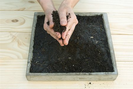 simsearch:633-02231743,k - Handful of gardening soil above a tray full of dirt Stock Photo - Premium Royalty-Free, Code: 633-02231748