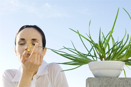 simsearch:633-05402103,k - Woman smelling flower from potted plant, low angle view Foto de stock - Sin royalties Premium, Código: 633-02231754