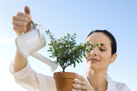 Mature woman watering potted plant Stock Photo - Premium Royalty-Free, Code: 633-02231753