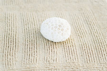 simsearch:633-02345764,k - Piece of coral on raked sand, still life Stock Photo - Premium Royalty-Free, Code: 633-02345736