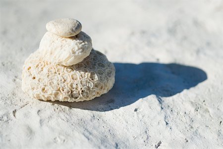 Coral and rock stacked on top of each other, casting shadow Stock Photo - Premium Royalty-Free, Code: 633-02345739