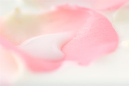 flower petals outline - White liquid on flower petal, extreme close-up Stock Photo - Premium Royalty-Free, Code: 633-02345847