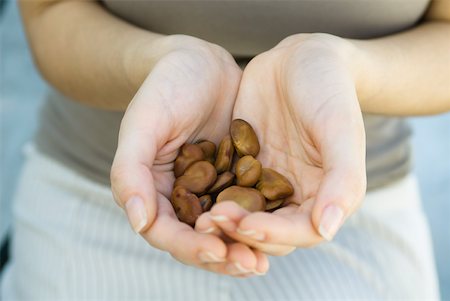 Cupped hands holding large brown seeds Stock Photo - Premium Royalty-Free, Code: 633-02345891