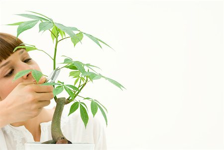 Woman pruning potted plant Stock Photo - Premium Royalty-Free, Code: 633-02345900