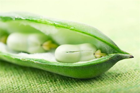 pod (botanical) - Broad bean pod sliced open to reveal beans, close-up Stock Photo - Premium Royalty-Free, Code: 633-02417344