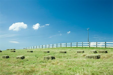 Balles de foin dans un champ Photographie de stock - Premium Libres de Droits, Code: 633-02417635