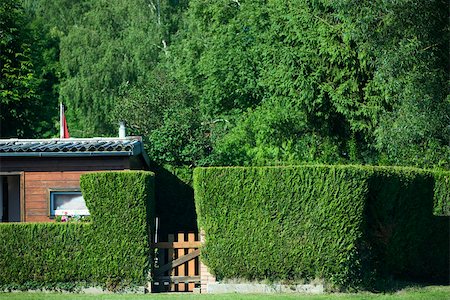 seto - House behind hedge Foto de stock - Sin royalties Premium, Código: 633-02417675