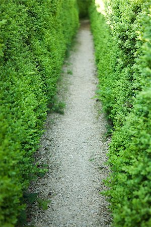 Gravel path between hedges Foto de stock - Sin royalties Premium, Código: 633-02417696